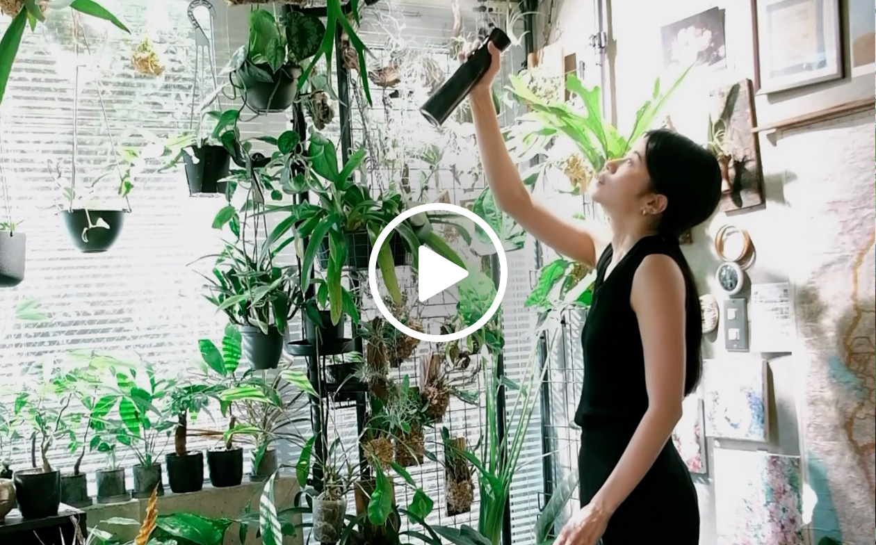 도쿄 반지하에서 피워낸 싱그러운 12평 복층 라이프🌱